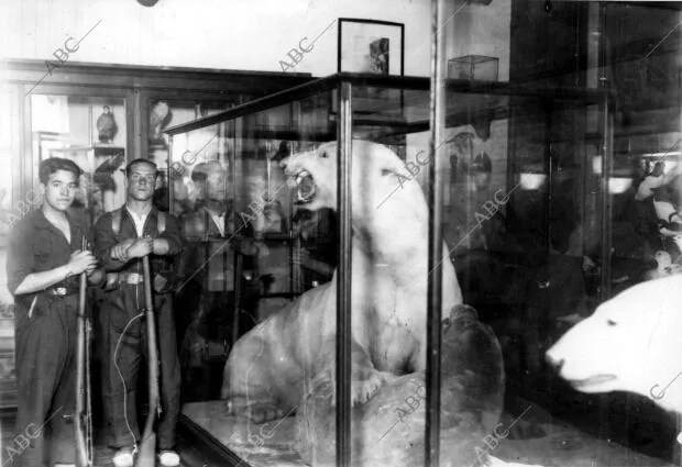 Las Milicias Guardando el museo de Animales en el palacio de Medinaceli