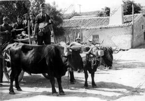 Transporte de Heridos en las Carretas, en el pueblo de Peguerinos (Ávila)