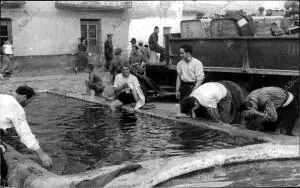 A las seis de la Mañana, los Soldados Acampados en el pueblo de la Calzada...