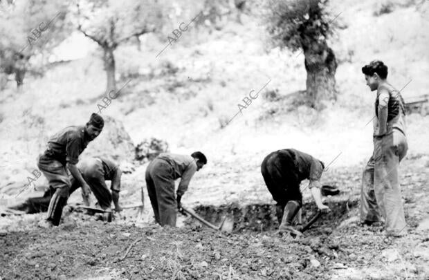 Entre ellos se Encuentra Mera, jefe de una de las Brigadas