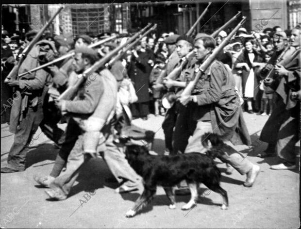 Los Soldados de Franco, Acompañados de sus Mascotas, Vuelven de la batalla en la...