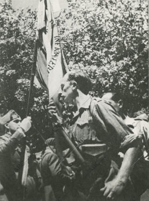 Guerra Civil Española. Jura de Alfécereces Provisionales