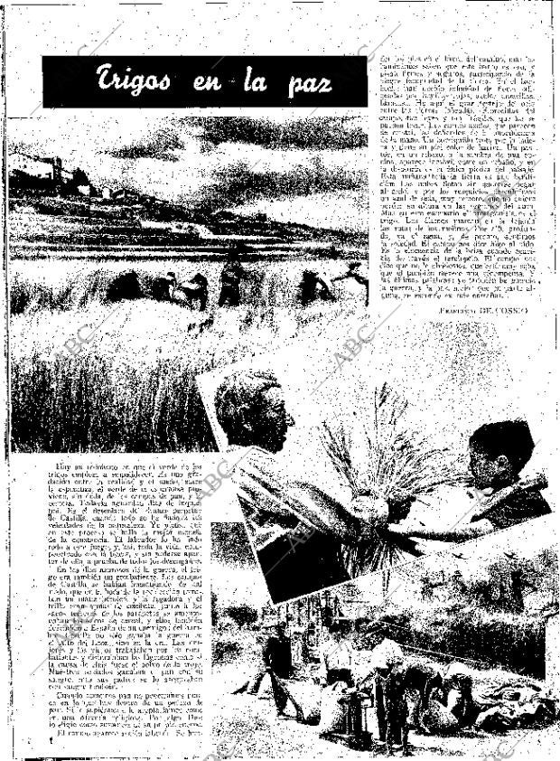 ABC MADRID 29-07-1939 página 6
