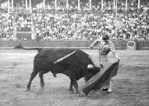 El matador de toros cordobés Manolete