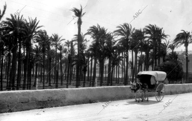 Puerto de las Palmeras de Cartagena (Murcia)