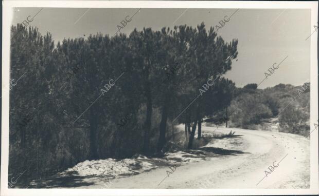 Vista del camino de Moguer A Mazagón