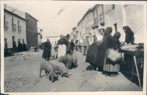 Mercado de la localidad de Marmolejo