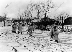 Un grupo de soldados de la División Azul española camina a través de la nieve
