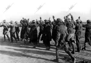 Soldados ingleses capturados por las fuerzas alemanas junto a Tobruk, son...