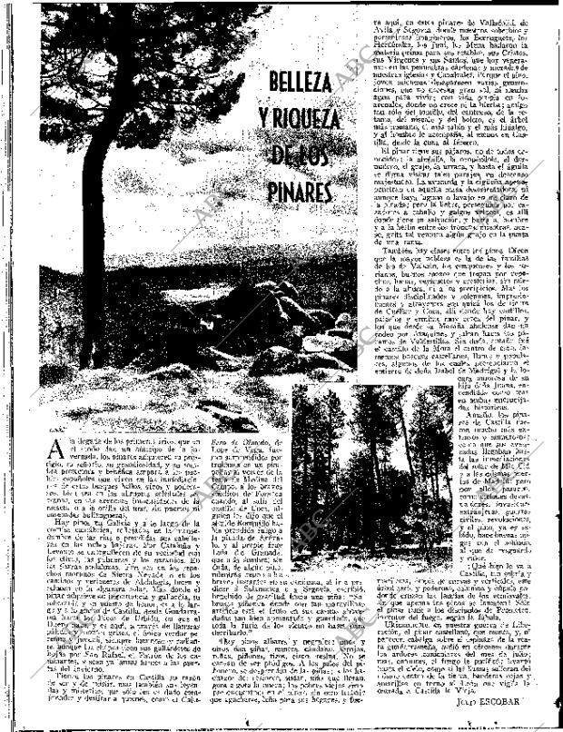ABC SEVILLA 14-11-1944 página 2