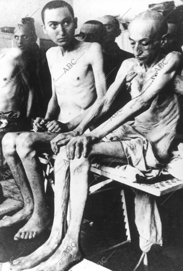 Liberación del campo de exterminio de Auschwitz