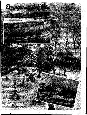 ABC SEVILLA 25-01-1945 página 15