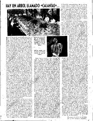 ABC SEVILLA 19-05-1945 página 15
