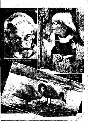 ABC MADRID 19-09-1948 página 13