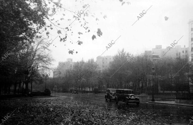El Paseo de la Castellana en otoño