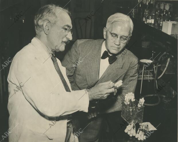 El profesor Waksman (a la izquierda), mostrando al profesor Fleming cultivos de...