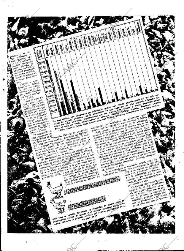 ABC MADRID 13-02-1949 página 13