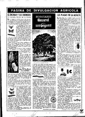 ABC MADRID 19-04-1949 página 13