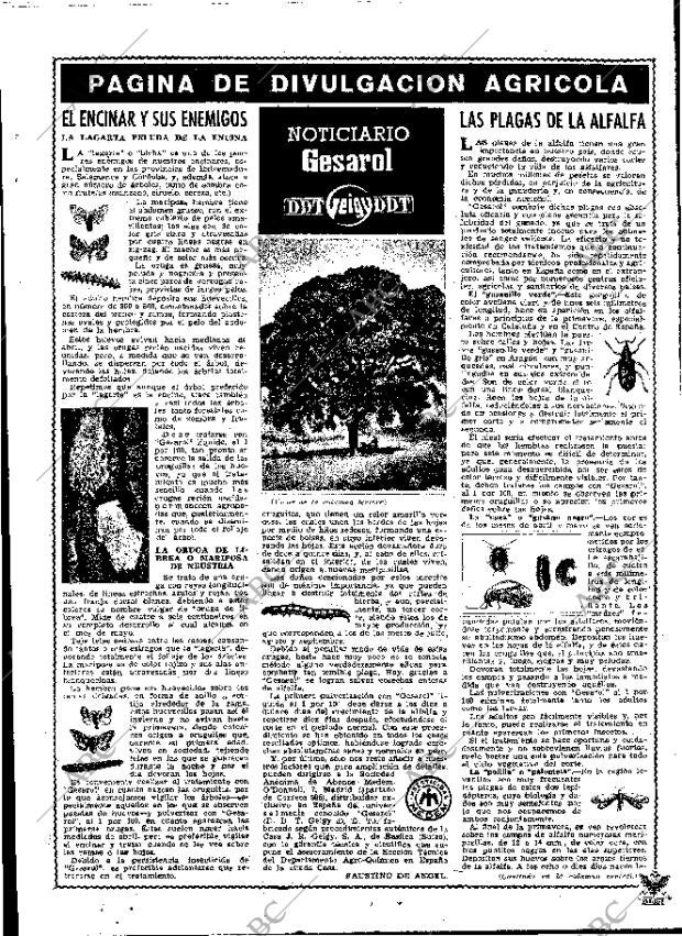 ABC MADRID 19-04-1949 página 13