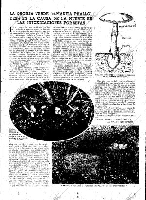 ABC MADRID 03-11-1949 página 11