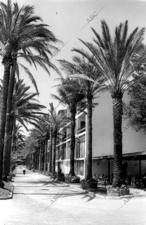 Una de las Calles del pueblo de Torremolinos (Málaga)