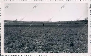 Tierras de Tresjuncos