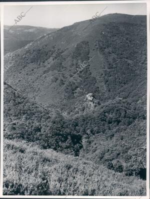 Colegiata de san Juan de Caaveiro entre el inmenso bosque