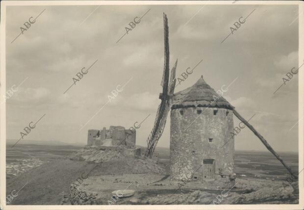 Molinos de viento