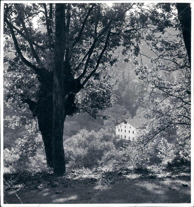 Paisaje vasco en otoño