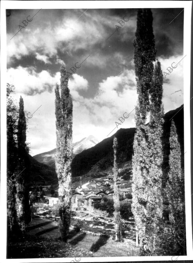 Chopos junto al valle de Cardós