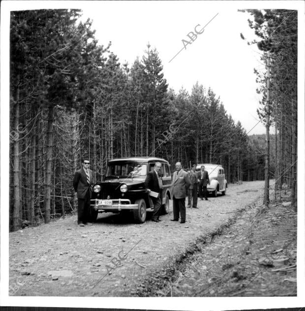 Pista forestal entre la seo de Urgell y Sort, entre las Cuencas del Segre y del...