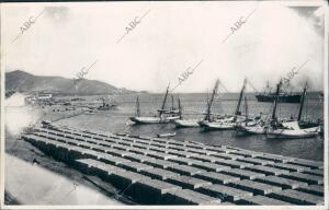 Barcos en el puerto de Motril