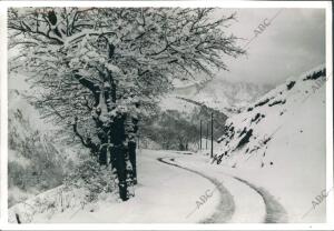 Puerto de Echegarate, de la cordillera Cantábrica, en invierno