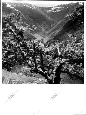 El valle del silencio desde el camino de Peñalba