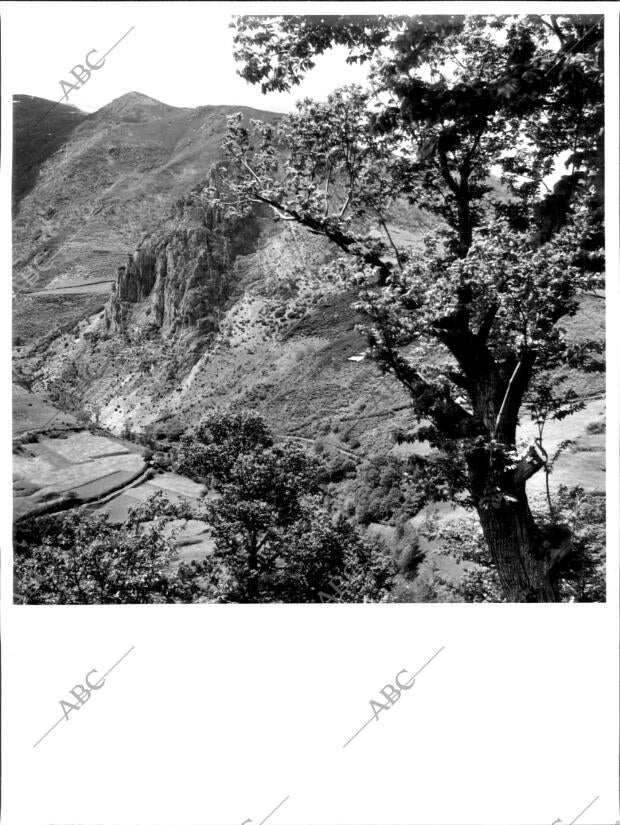 Uno de Tantos Paiasjes Hermosísimos de la Sierra de la Guiana desde el camino de...