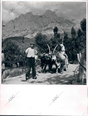 Un Carro, camino del Prado, Pasando por el primer puente sobre el Rio Cares