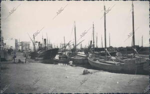 Barcos Atracados en el puerto de Ayamonte