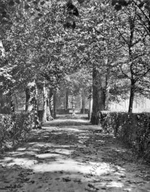 Aranjuez en Otoño