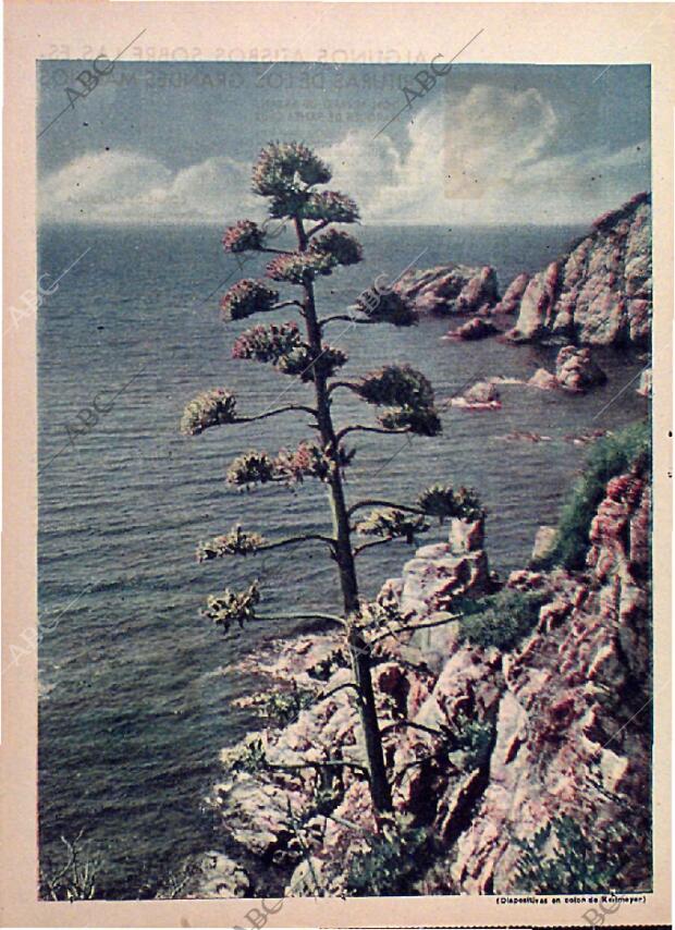 ABC MADRID 12-03-1950 página 12