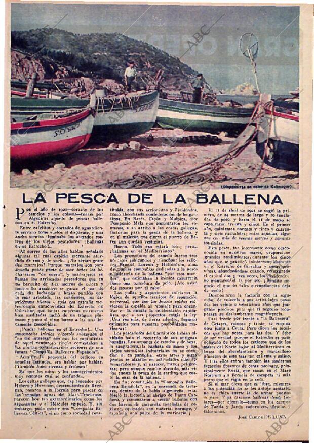 ABC MADRID 12-03-1950 página 13