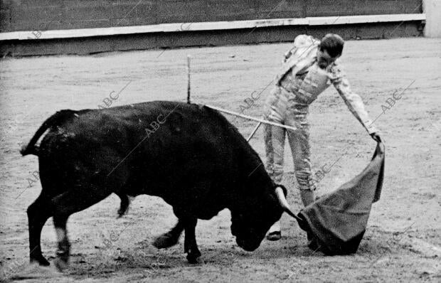 Julio Aparicio torea al natural