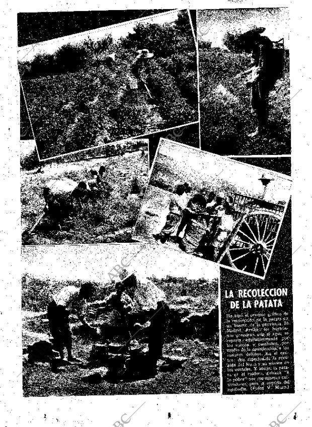 ABC MADRID 30-09-1950 página 11