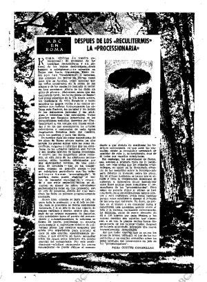 ABC MADRID 18-10-1950 página 11