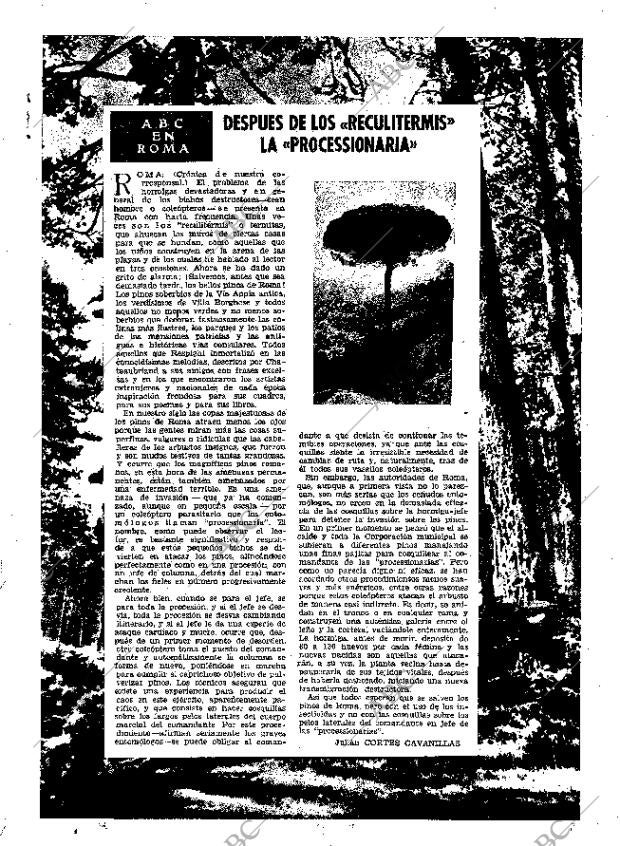 ABC MADRID 18-10-1950 página 11