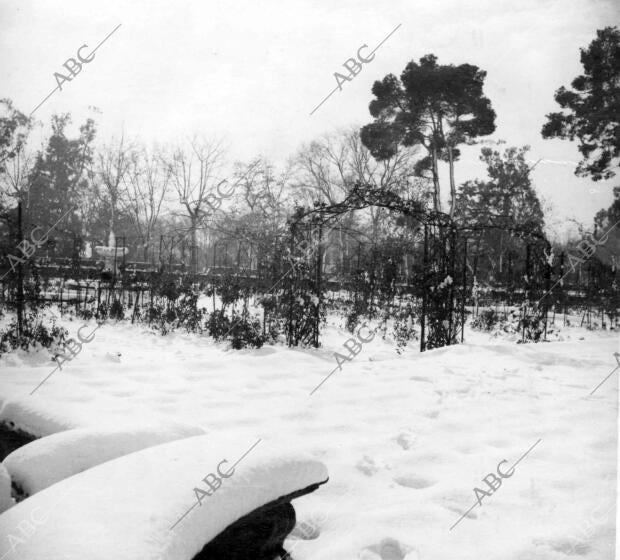 La rosaleda del Retiro - fecha Aproximada