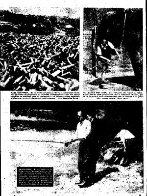 ABC SEVILLA 09-09-1951 página 5