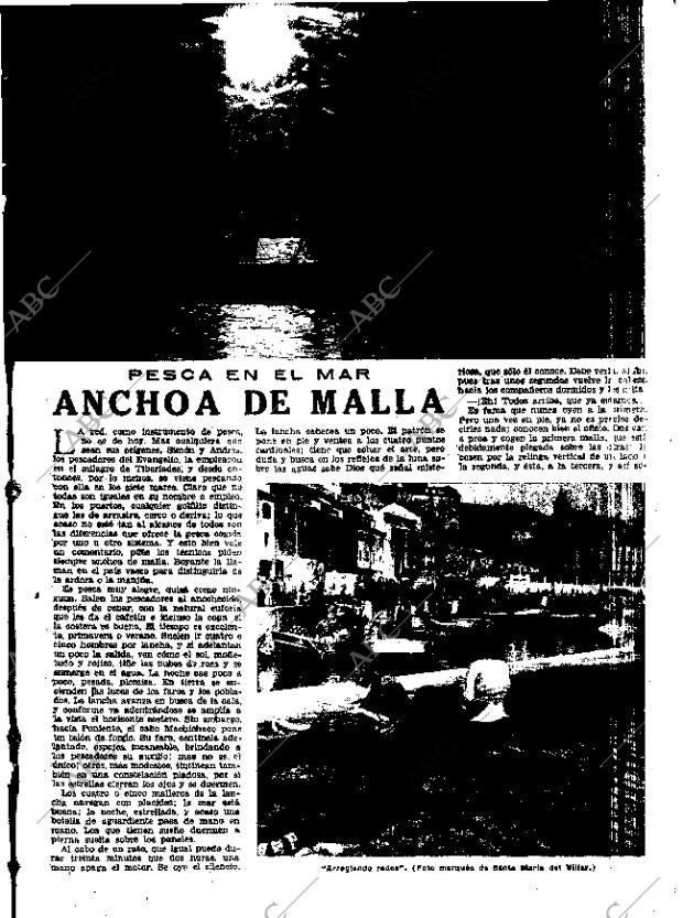 ABC MADRID 16-09-1951 página 11