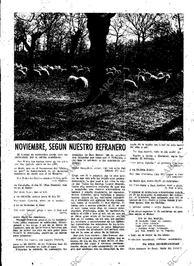 ABC MADRID 11-11-1951 página 15