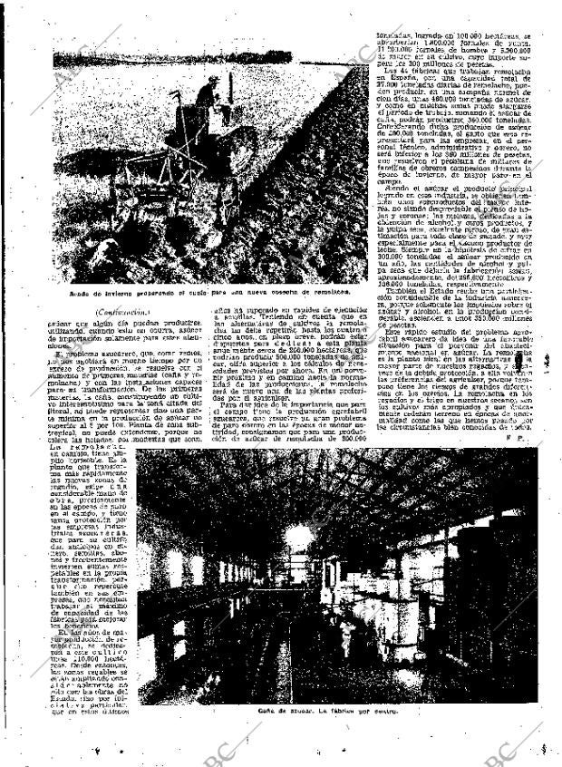 ABC MADRID 11-11-1951 página 21