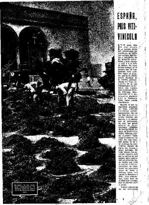 ABC MADRID 11-11-1951 página 22